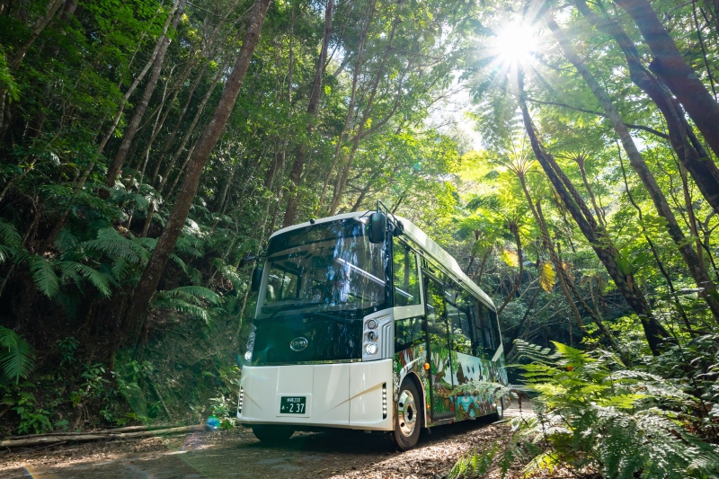 Explore Yambaru Forest Guided Tour from an EV Bus<br>PLEASE NOTE: This guided tour is only available in Japanese.