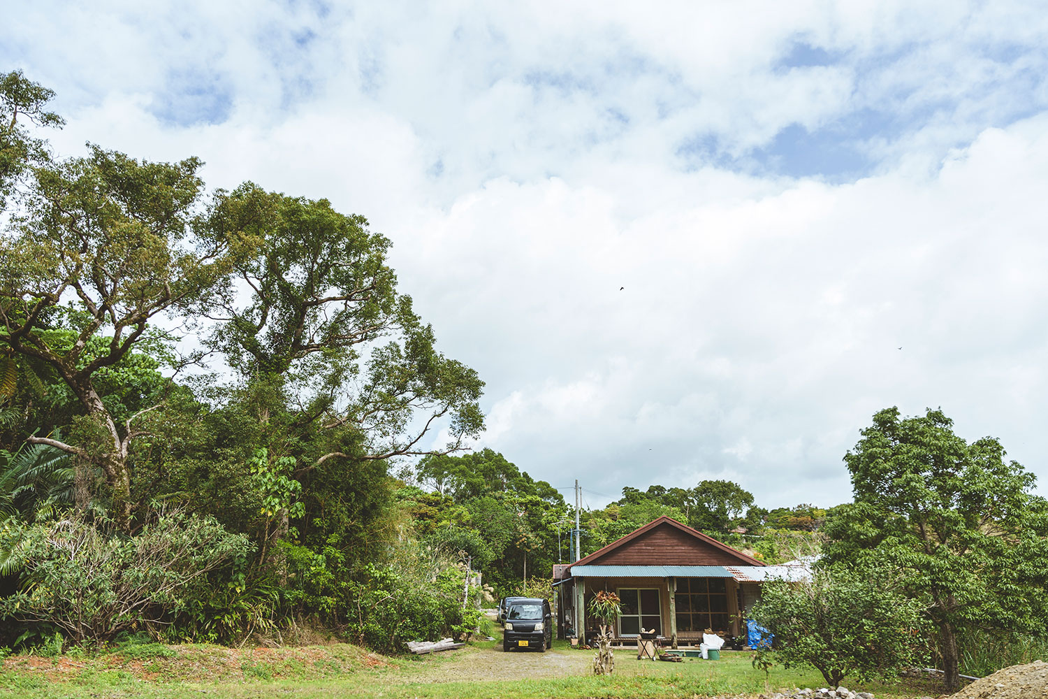 A studio in Yambaru surrounded by nature