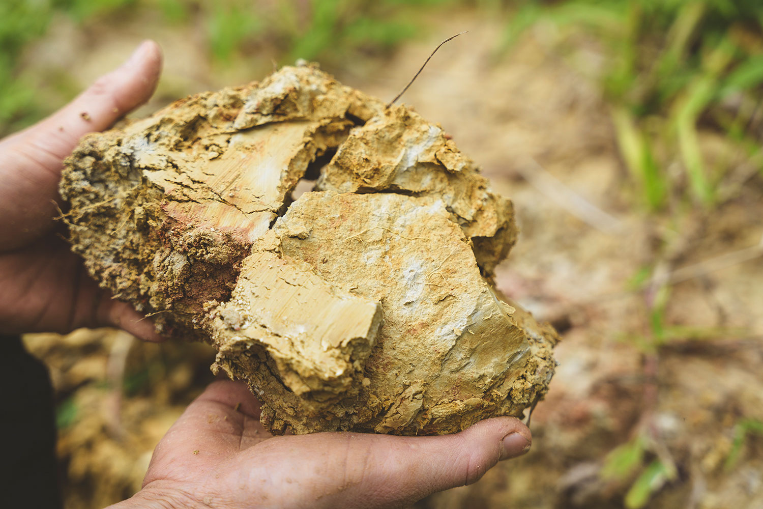 Layers of clay in northern Okinawa that are suitable for making pottery