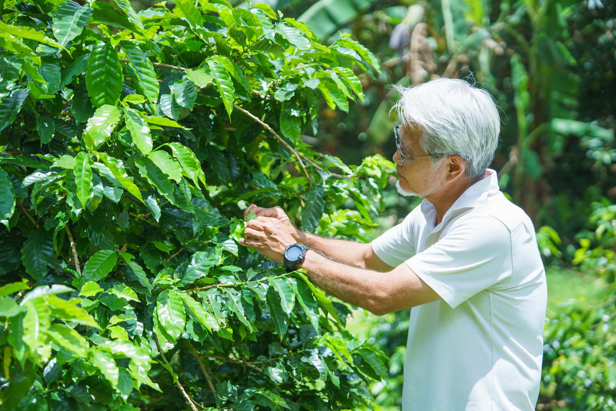 Tatsumi Kishimoto, Owner of Nakayama Coffee Farm