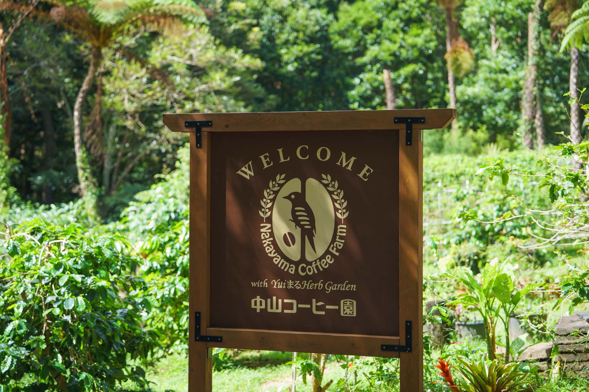 中山コーヒー園の看板